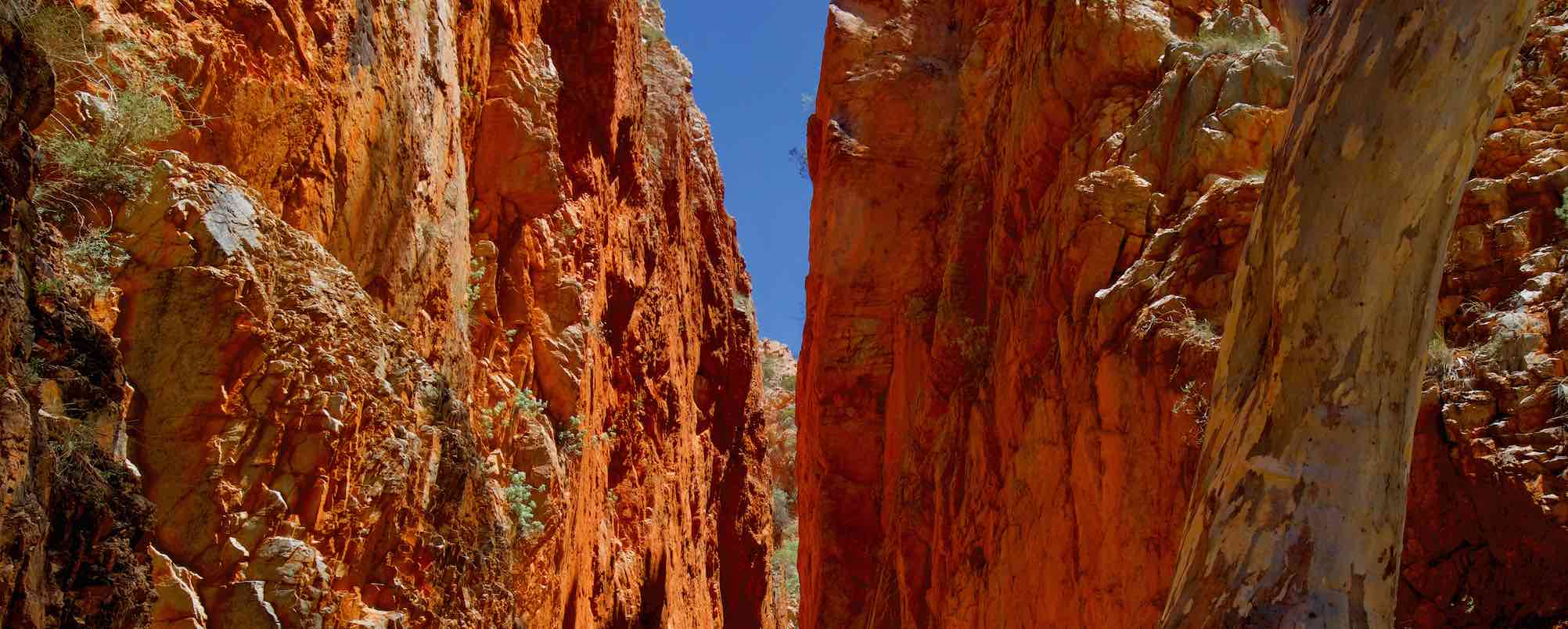 Alice Springs Caravan Park